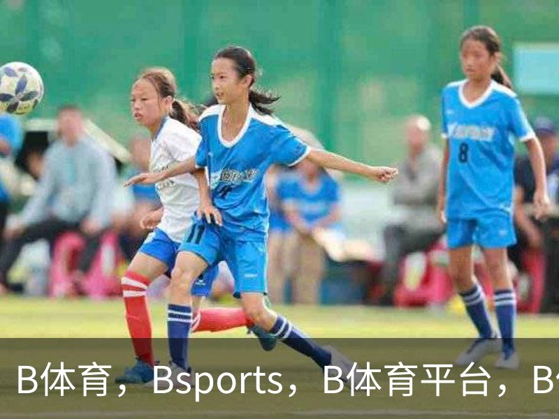 B体育，Bsports，B体育平台，B体育下载简介